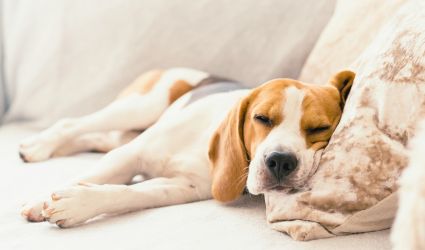 gemuetlich gemuetlich