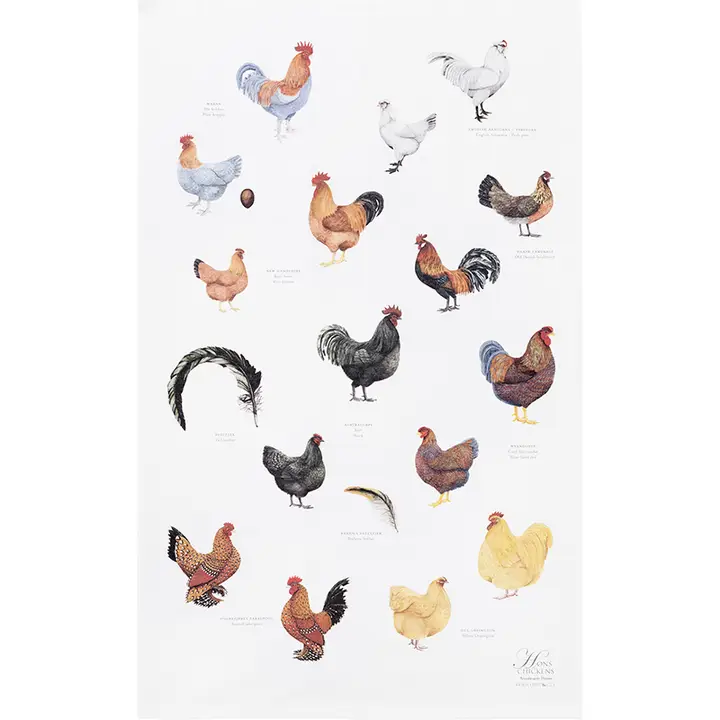 Chicken Geschirrtuch – 100 % Bio-Baumwolle, illustriert mit Hühnern